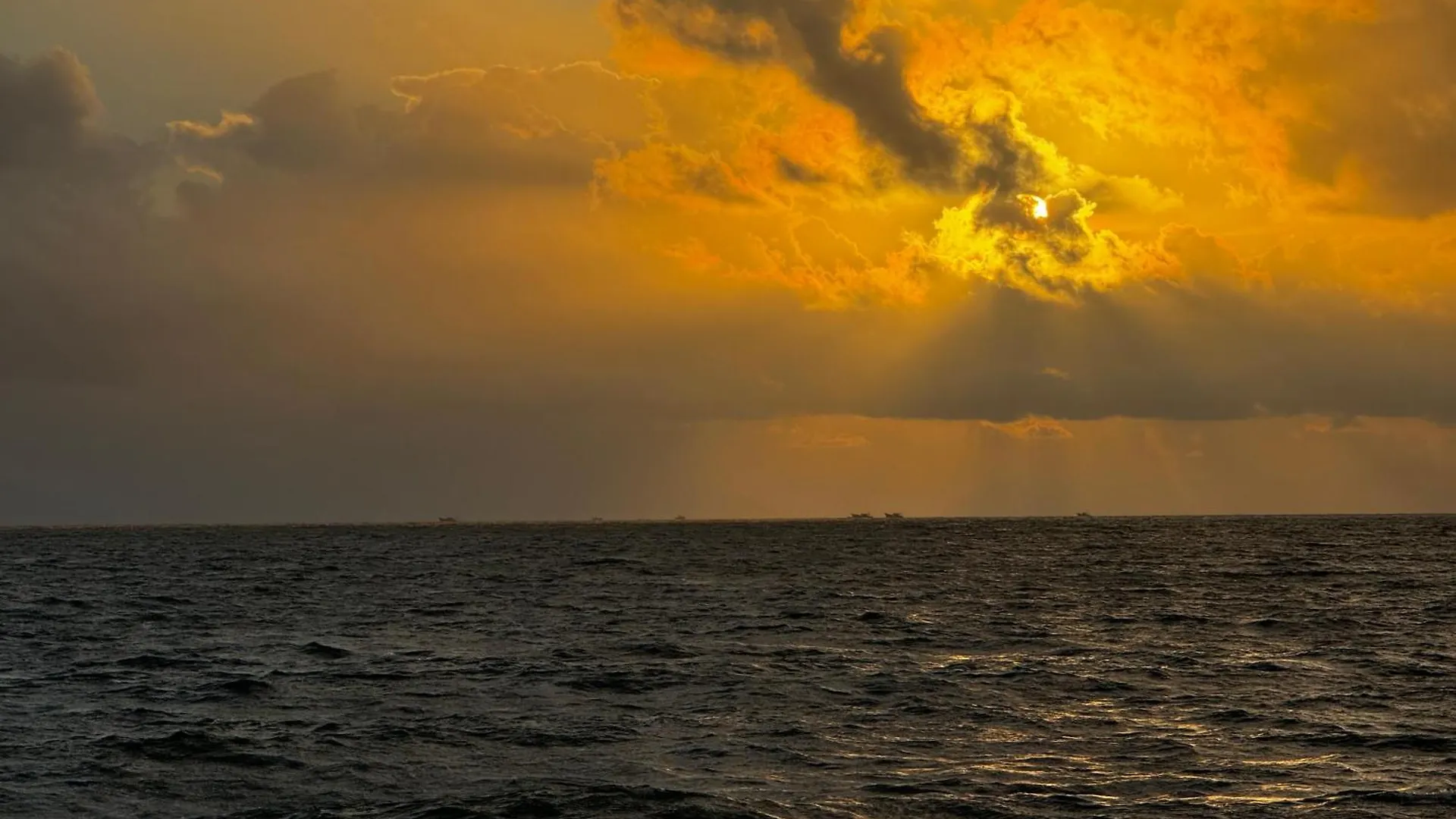 Casa vacanze Beach Heaven By Azure Heaven Holidays - Whole House Mararikulam